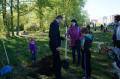 В микрорайоне Бывалово прошла акция «Посади свое дерево».
