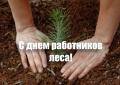 Поздравление Главы города Вологды Юрия Сапожникова с Днем работников леса