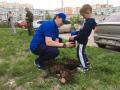 Депутаты-единороссы помогают вологжанам озеленить дворы